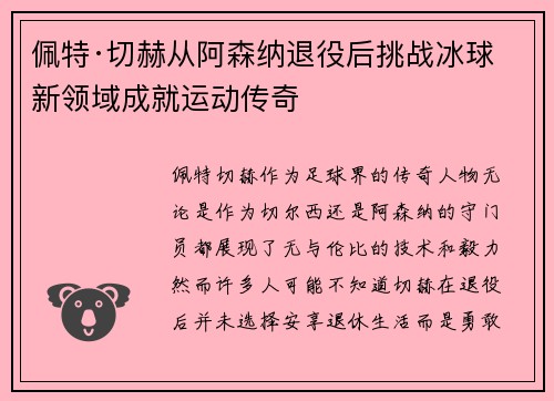 佩特·切赫从阿森纳退役后挑战冰球新领域成就运动传奇